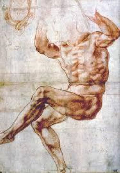 M.Angelo 5