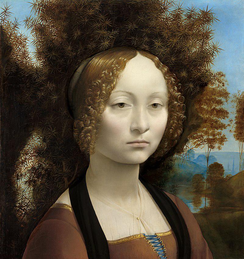 Leonardo Da Vinci 5